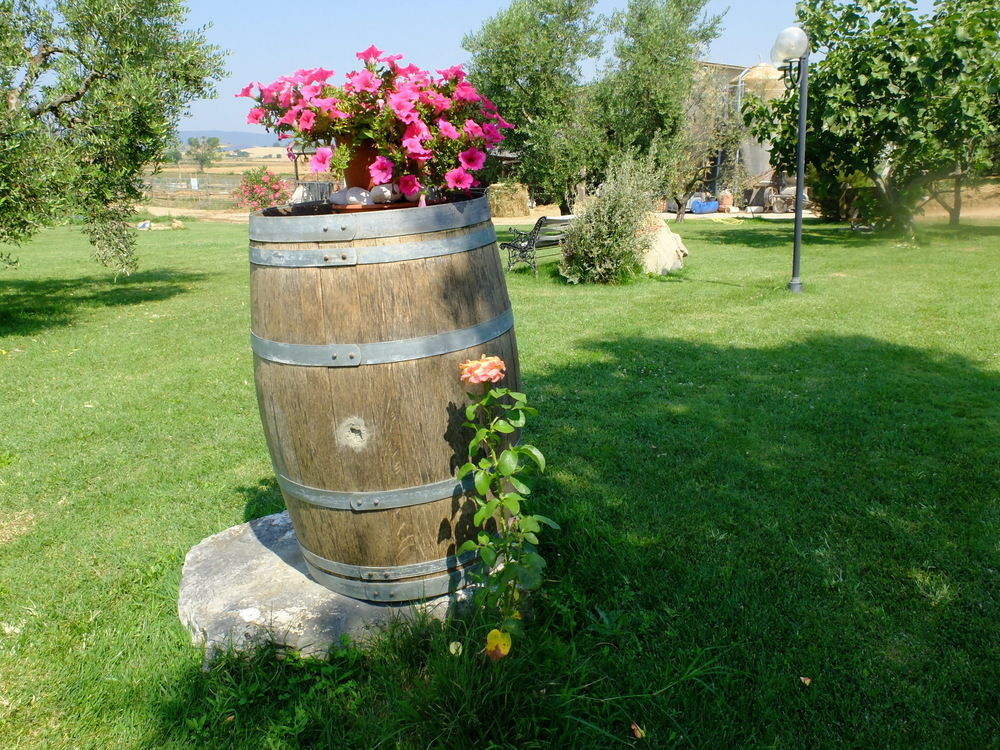 Agriturismo Al Girasole San Donato  Exterior foto